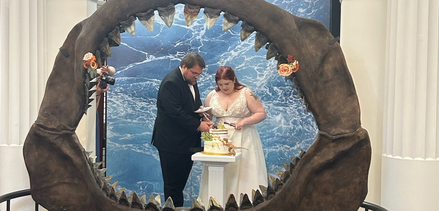 Photo of Cravey wedding cake cutting near museum fossil